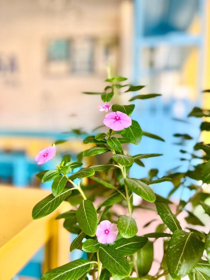 La Casa Homestay - 11B Anh Dao, Bai Chay Ха Лонг Екстериор снимка